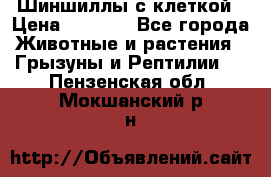 Шиншиллы с клеткой › Цена ­ 8 000 - Все города Животные и растения » Грызуны и Рептилии   . Пензенская обл.,Мокшанский р-н